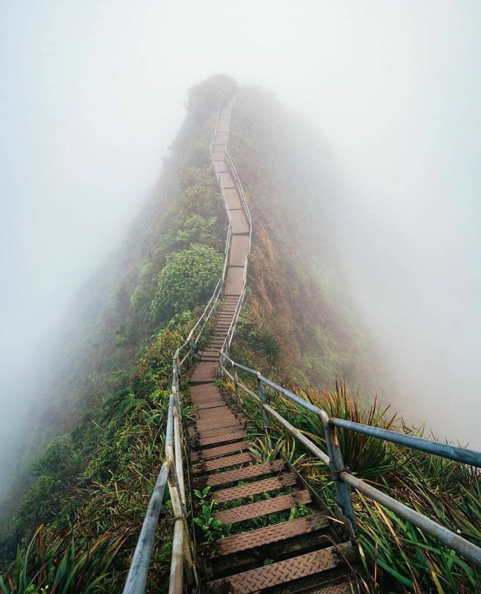 Amazing follow. Amazing follow. Amazing follow. белый храм чианг рай. экстремальные девушки.