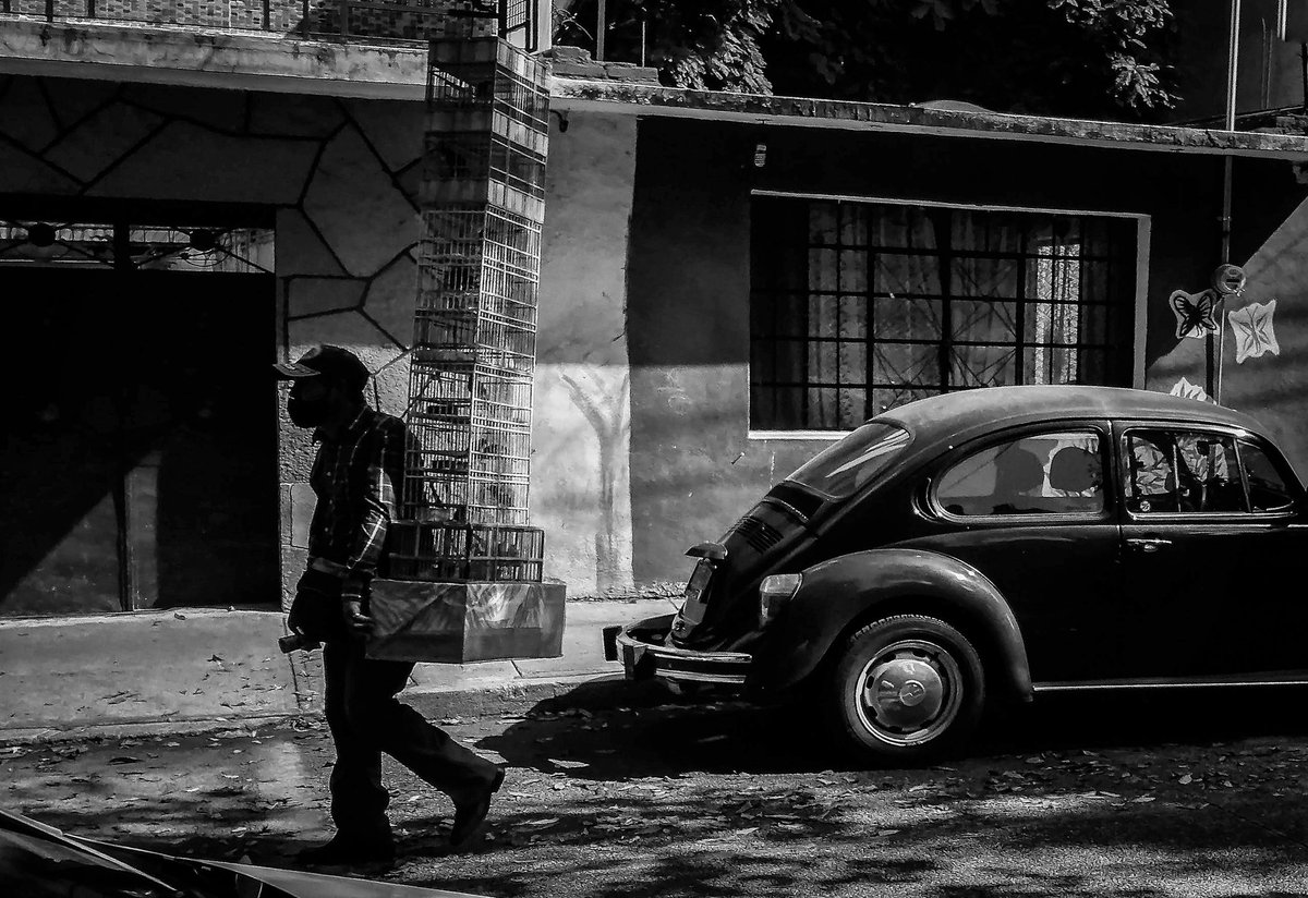 Our loneliness.

#streetphotography #bnw_captures #blancoynegrofoto #streetphotographer #mx #man #photojornalism #photooftheday #realidad #loneliness #calle