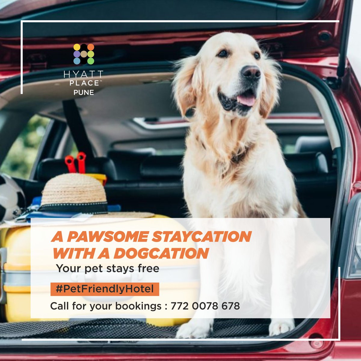 HyattPlacePune's tweet photo. You don't have to leave your pooch behind when you plan a getaway because ours is a pet-friendly hotel where your pet gets to stay free.๐ถ
Call- 772 0078 678
๐
#hyattplace #hyattplacepune #hyatt #petfriendlyhotel #dogcation #staycation https://t.co/qvdgZ3GVmF