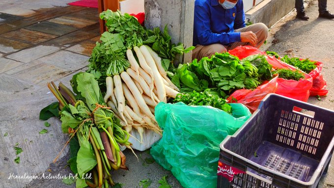 カトマンズの路上で売られる葉付き大根