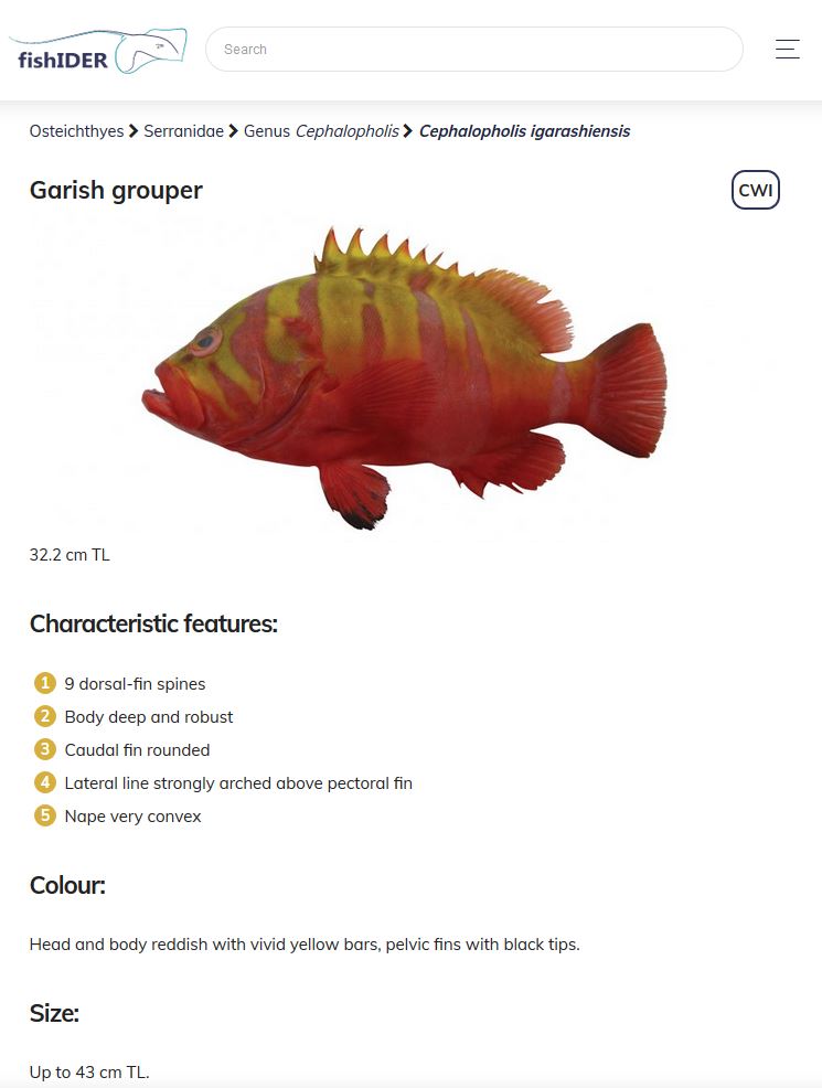 Helen O'Neill tweet media