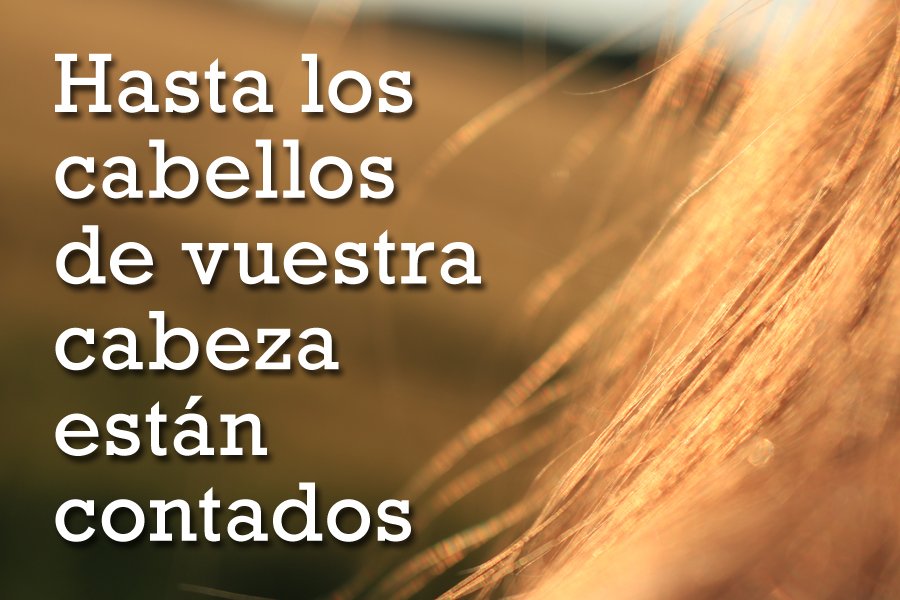 Diócesis de Getafe on Twitter: "#EvangelioDeHoy. 16 de octubre. Lc 12, 1-7.  “Hasta los cabellos de vuestra cabeza están contados”.  https://t.co/UAgrQp2XJV" / Twitter