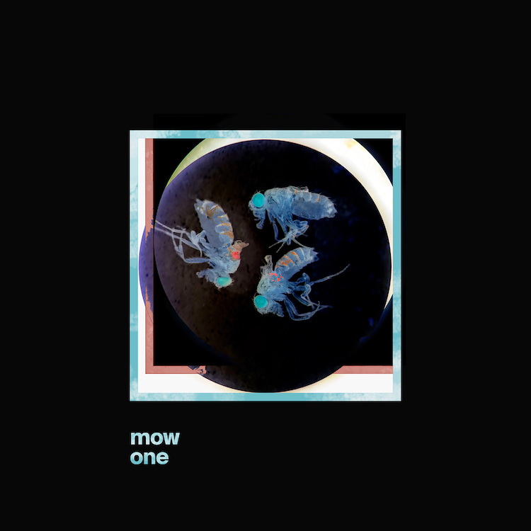 "ONE", el nuevo álbum de MOW <a href="/mow_woman/">MOW</a> ya está disponible en todas las plataformas digitales! 🎶

Además, contiene 2 canciones inéditas en colaboración con <a href="/gangesmusic/">GANGES</a> y <a href="/somosAmbre/">ambreband</a>.

Escúchalo en links.altafonte.com/2aqo9dn