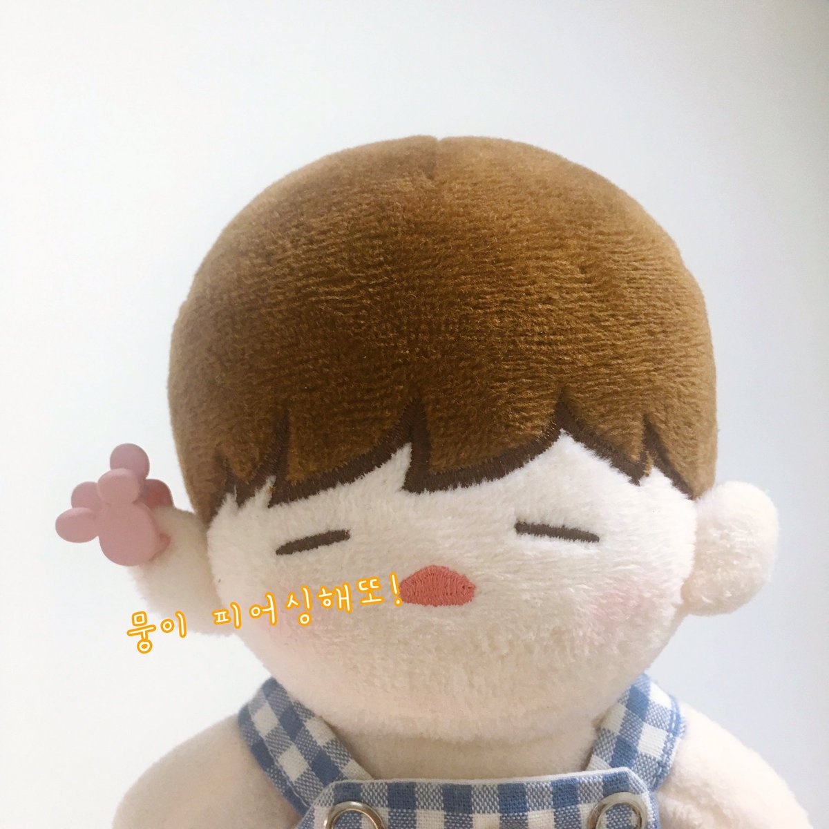 천천히 흘러갈지라도
뭉이는 잘 지내고있어요🥰

#짼뭉이 #김재환인형