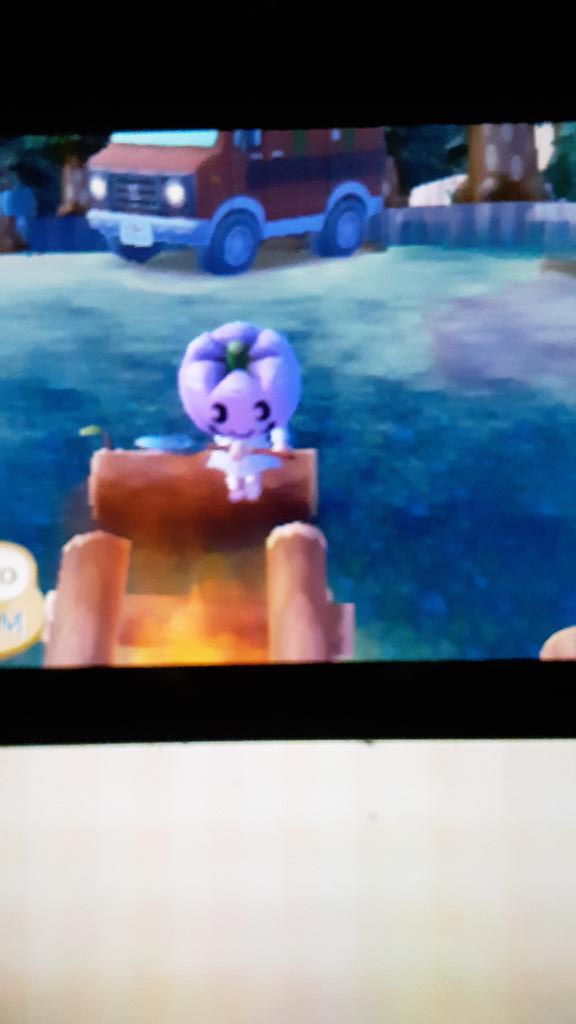 SEDchan77's tweet photo. That moment in #AnimalCrossingNewLeaf when your villager just has intense flashbacks. https://t.co/HzAwZYxo4r