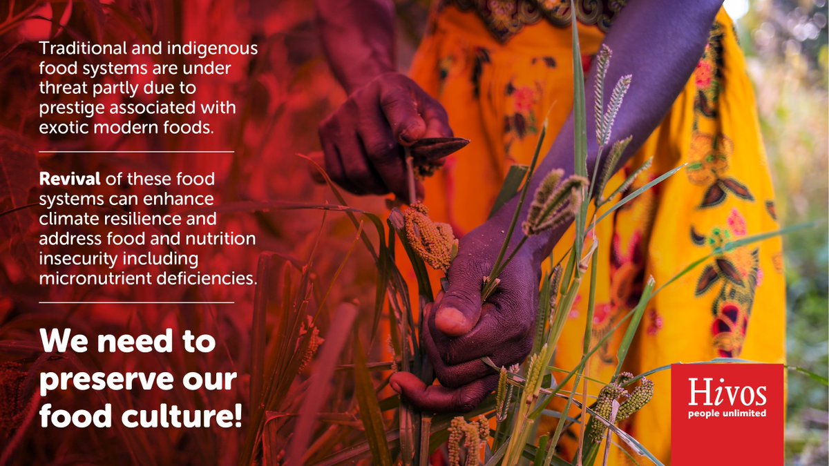 Which are some of the tradition or indigenous foods that you enjoy eating? Do you easily find them at your nearest market/shop? #Sustainablediets #WorldFoodDay2020