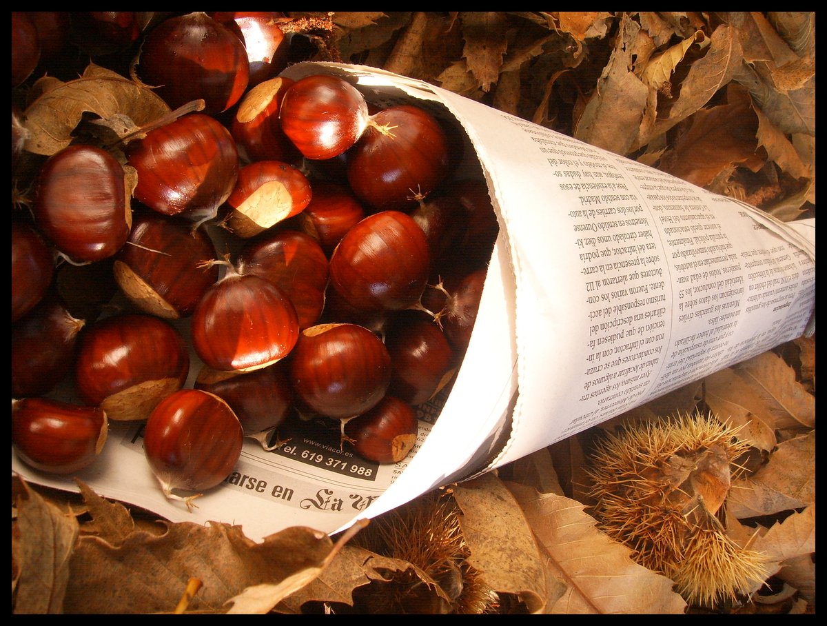 AtarazanasH's tweet photo. Málaga se impregna del olor a otoño con los puestos de castañas. No olvidéis de disfrutar cada momento que nos regala esta ciudad. https://t.co/c6QzrpFlMv