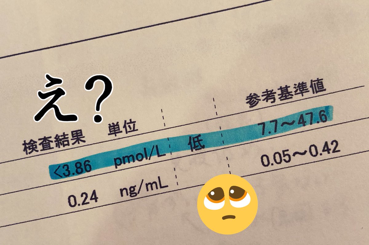 ビビィ 18歳2ヶ月で旅立った柴犬の魂 V Twitter 甲状腺検査 測れる数値を超えて低かった オプション付けといて良かった マウステール やサッドフェイス とかはないですが 震えが時々 貧血も ホルモン補充のため チラーヂン錠 投与スタート 甲状腺 ビビィ 18歳2ヶ月で旅立った柴犬の魂 V Twitter 甲状腺検査 測れる数値を超えて低かった オプション付けといて良かった マウステール やサッドフェイス とかはないですが 震えが時々 貧血も ホルモン補充のため チラーヂン錠 投与スタート 甲状腺