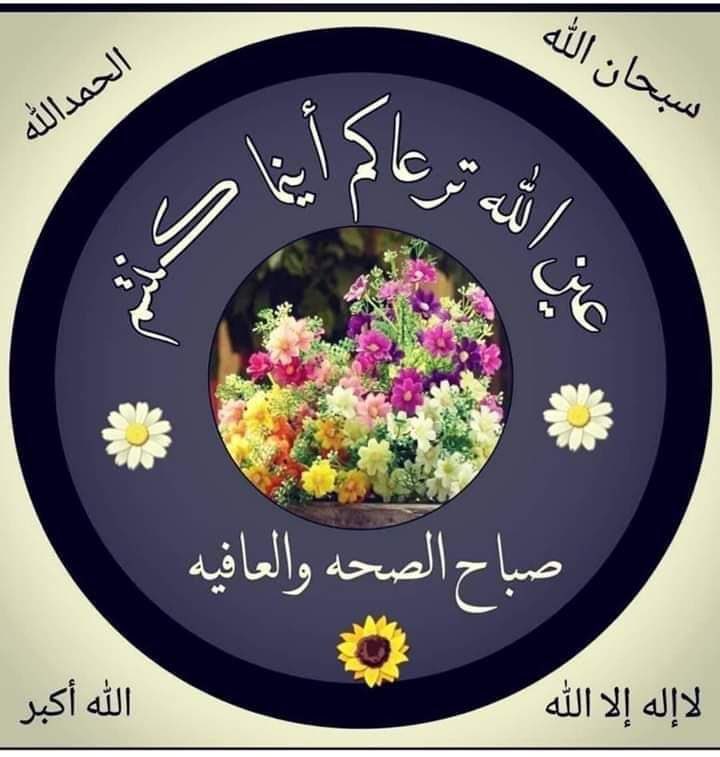 Shwhdkuwait's tweet photo. @Kw11Monay وي حتي انتي مادري😭

مادري😭🌿✋🏻 https://t.co/Xxr1h3egKN