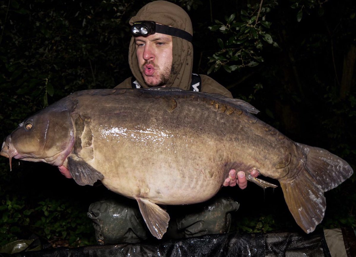 carpinterest's tweet photo. Still absolutely blown away by this fish, linear fisheries St. John’s lakes very own grey lady, just shy of 40lb, head over to the YouTube page (link in the bio) to relive the moment this unit was landed 🎣
#greylady #stjohnslake #linearfishery #Ateamfish https://t.co/6MlDbMXPXV