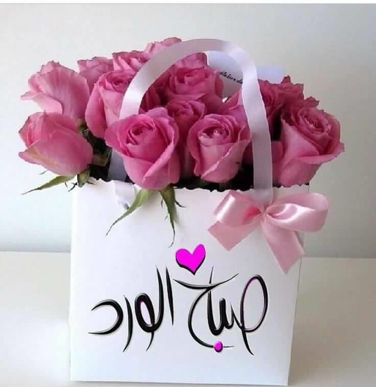 Shwhdkuwait's tweet photo. @amani_tabeet https://t.co/Y4FqHWFyNx