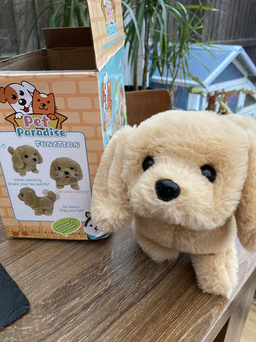 Hello <a href="/joelycett/">Joe Lycett</a> What do you think of the authentic, realistic toy dog I bought my daughter? It has over 20 interactive features you know!? It’s like having a real dog in the house...#ExpectationVSReality #scam