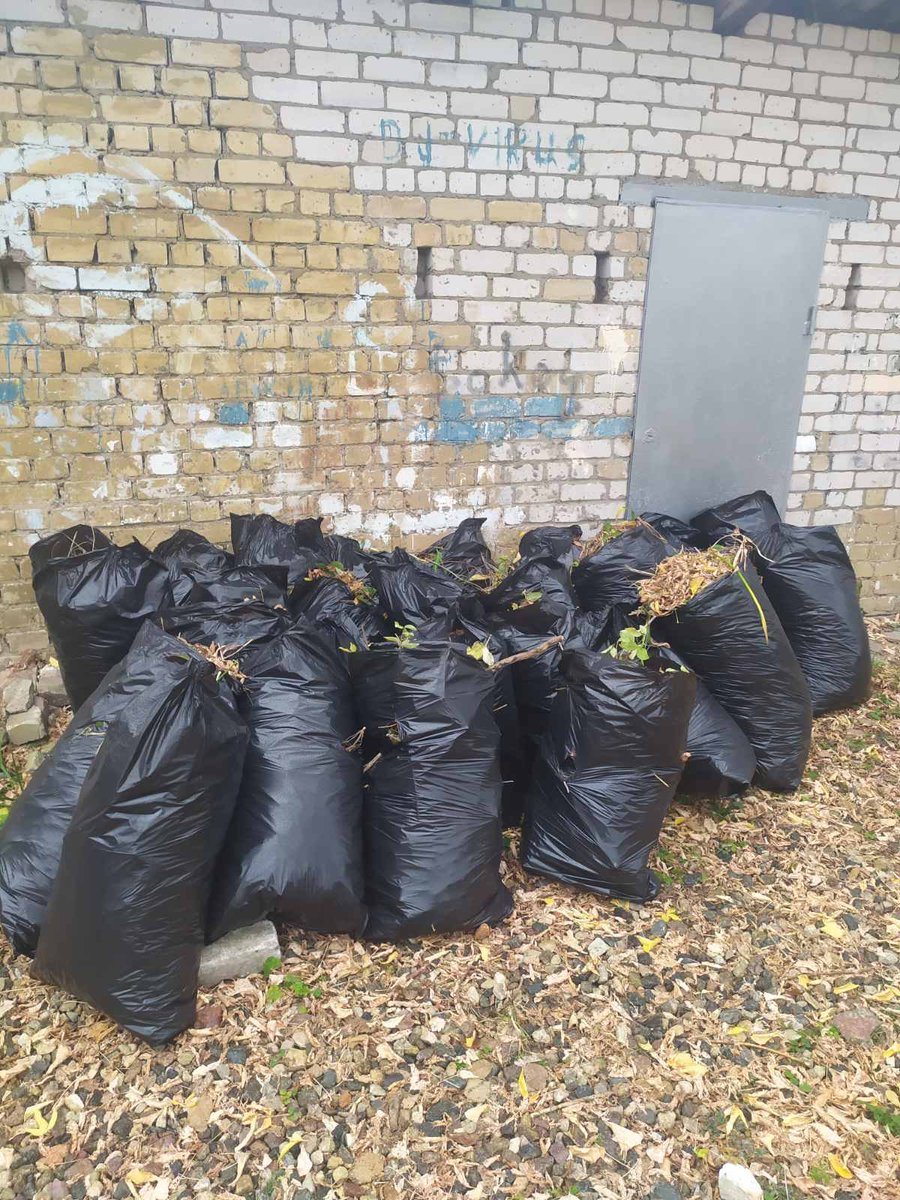 Октябрь-традиционное время наведения чистоты и порядка, а субботники-добрая традиция, объединяющая поколения. Осеннее преображение школьной  и прилегающей к ней территории прошло 14 октября. Благодарим педагогов и старшеклассников за активное участие.