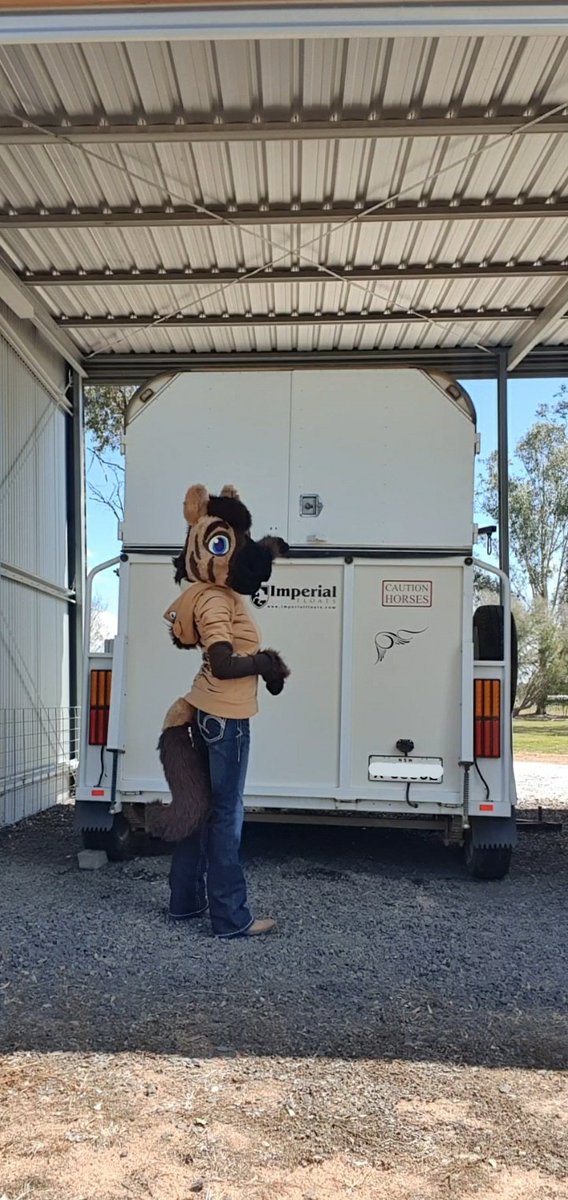 JelloHonse's tweet photo. My Chariot awaits.. 👀🐎
#FursuitFriday #HorseFloat #CautionHorses #PassWideNSlow https://t.co/udRzfeWe8Y