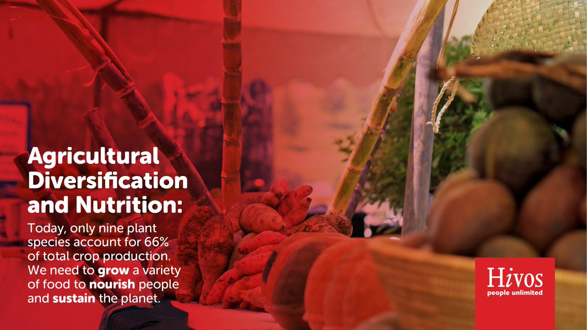 Lack of preservation of plant and animal species means that we have less diverse foods. Enabling farmers to use seeds they have saved is one way of protecting species.
 #Sustainablediets #WorldFoodDay2020