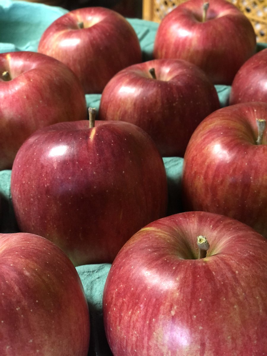 🍎創業120年りんご🍎元祖信州りんご農園🍎和合果樹園 🍎創業120年りんご🍎元祖信州りんご農園🍎和合果樹園