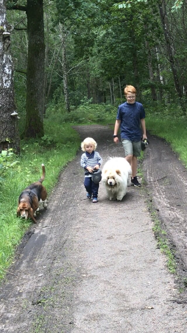 stromberglena's tweet photo. @AdmiralBulldog best Friends ❤️ https://t.co/FPLKizNDjg