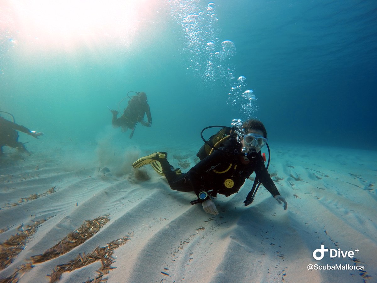 scubamallorca's tweet photo. Buenos dias! ☀️
.
#scubamallorca #scuba #mallorca #diving #scubadiving #scubamag #scubajunkie #scubajunkies #buceoenmallorca #mallorcadiving #divinginmallorca #buceo #mallorca #pollensa #sompollensa #calasanvicente #girlsthatscubadive #divebase #mundobuceo #trydiving #bautismo https://t.co/JembHjmg3t