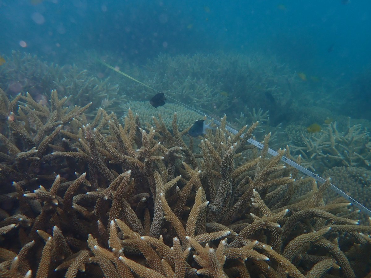 Graham Edgar tweet media