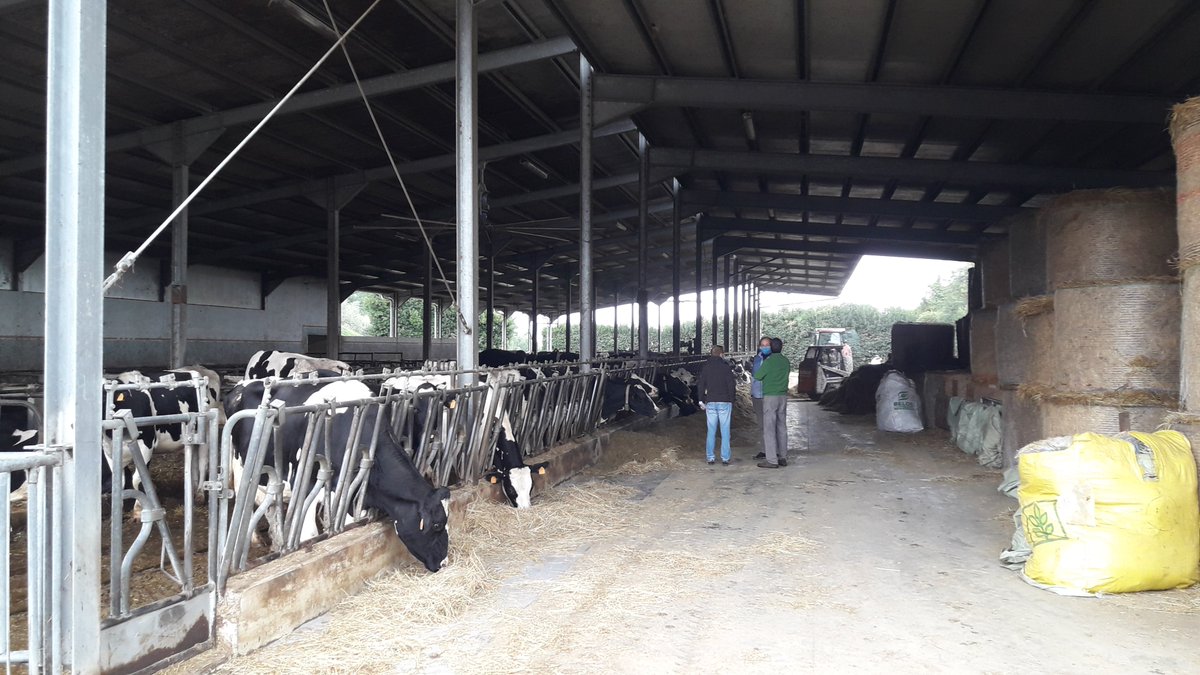 worklimate's tweet photo. Continuano le nostre attività: nei giorni scorsi ci siamo recati in 3 aziende zootecniche del Mugello che partecipano anche al progetto (#MILKLIMAT) sugli effetti del #caldo sulle performance delle vacche da latte finanziato da Regione Toscana con collaborazione di @FondazioneCS https://t.co/ItLFGDN3CK