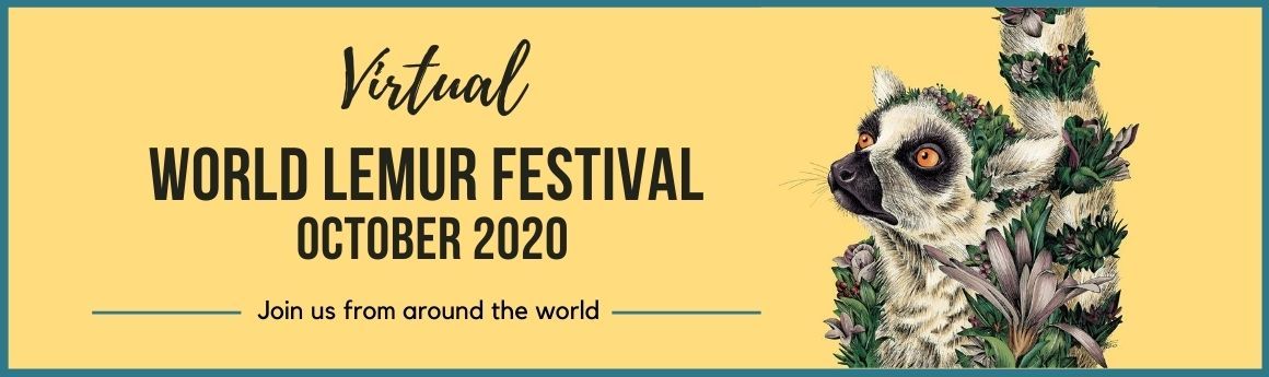 Lemur Conservation Network tweet media