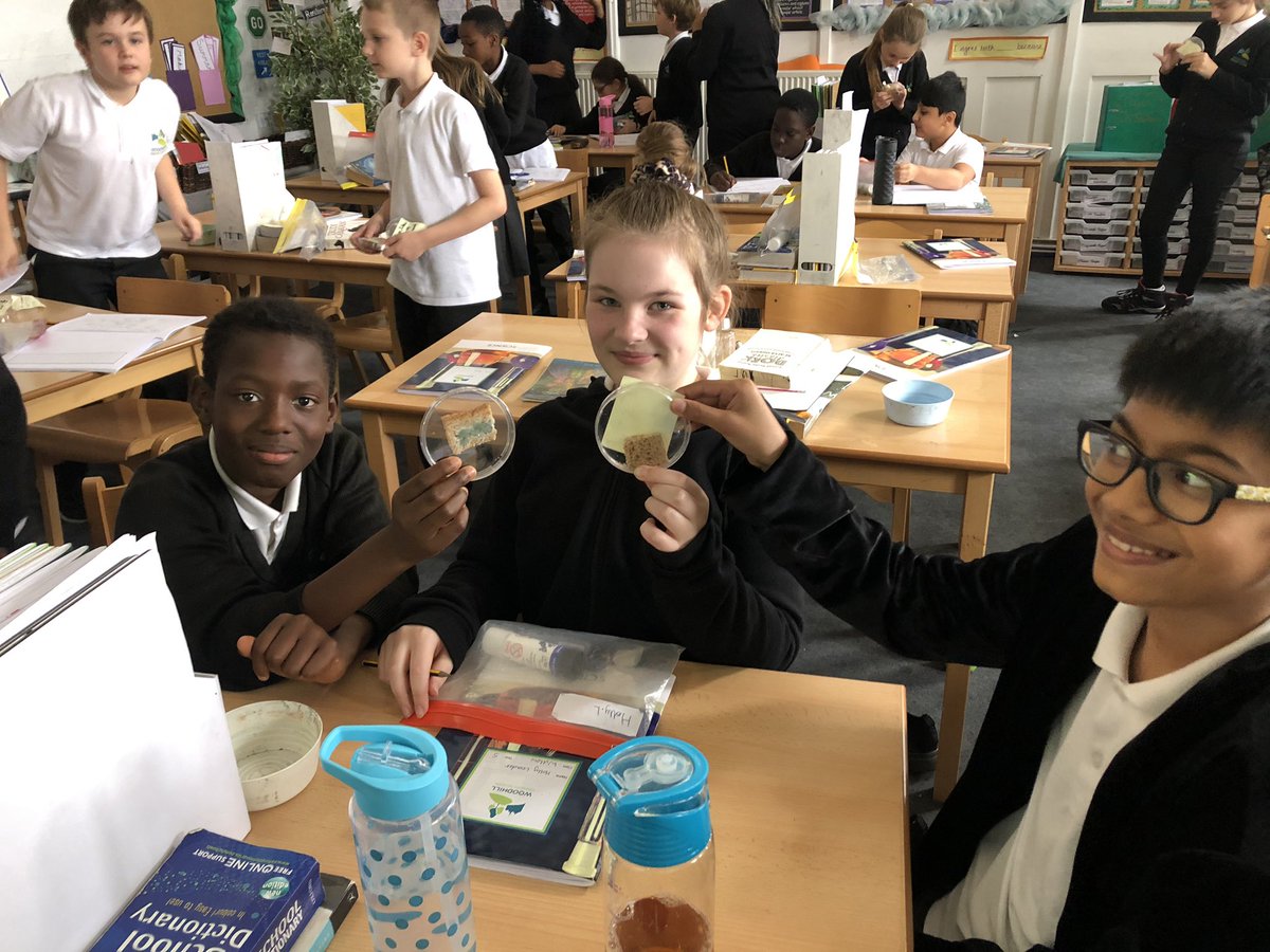 We’ve been observing that rate at which mould grows in different conditions (wet/warm compared to dry/cool). The results are pretty gross 🤢 <a href="/WoodhillSci/">Woodhill Science</a> <a href="/WoodhillSch/">Woodhill Primary School</a> <a href="/InspireSELondon/">not in use</a>