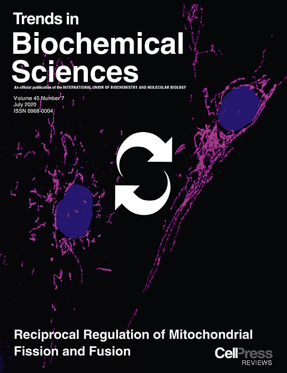 Did you happen to see the cover of the July issue of TIBS? Designed by <a href="/rsabouny/">Rasha Sabouny, PhD</a> and <a href="/MitoMORPH/">ShuttLab</a>, it depicts how #mitochondria fuse and divide. Their article further describes how these pathways are simultaneously regulated: bit.ly/2XvsGq0