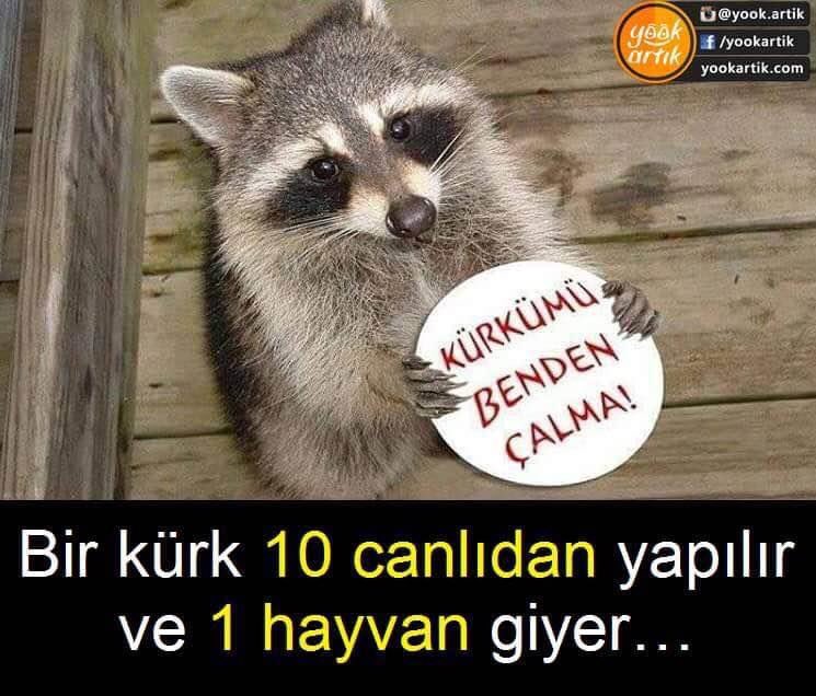 Çook anlamlı söz,
Kürk anlamı dışında..
Yeryüzünde ki insan görünümlü kansızlar vicdansızlar var oldukça..
Hep off larla göçüp gideceğiz..
Gençlerimiz kurban olayım her birinize,
gözünüzün önünü iyi görün..
BAYRAK ve DİNİMİZ için...