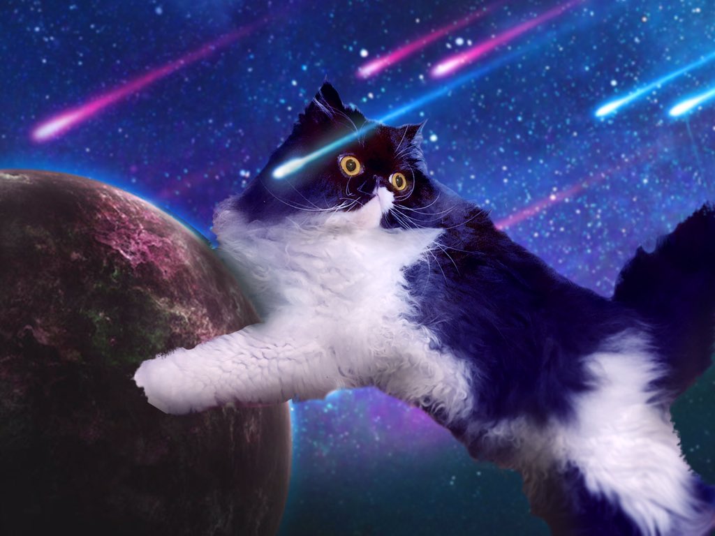 宇宙ねこ
