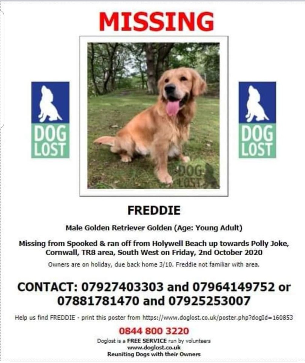 #findfreddie