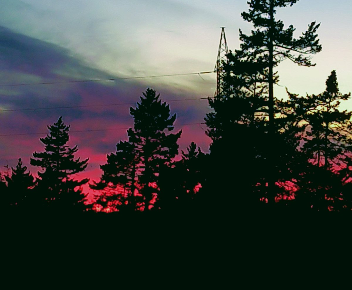 pmarignani's tweet photo. Evening run post grant submission. #ScienceSaves #NatureHeals #FunWithScience #GotToPlayToWin https://t.co/6O42Qv8S7w