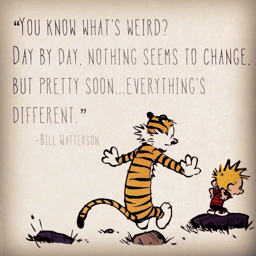 Calvin and Hobbes Fan Account tweet media