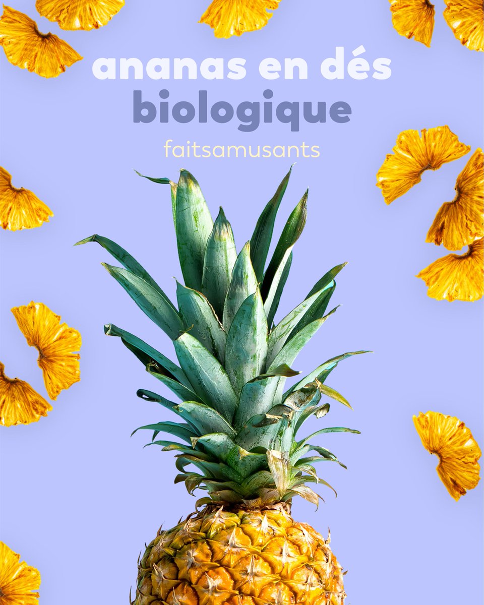 YupikPage's tweet photo. Have you tried Yupik’s Organic Diced Pineapple yet?

🍍 Diced, pure, and aromatic dried pineapples will take you on a journey to the tropics!

🔗 in bio https://t.co/rWFAnQabry