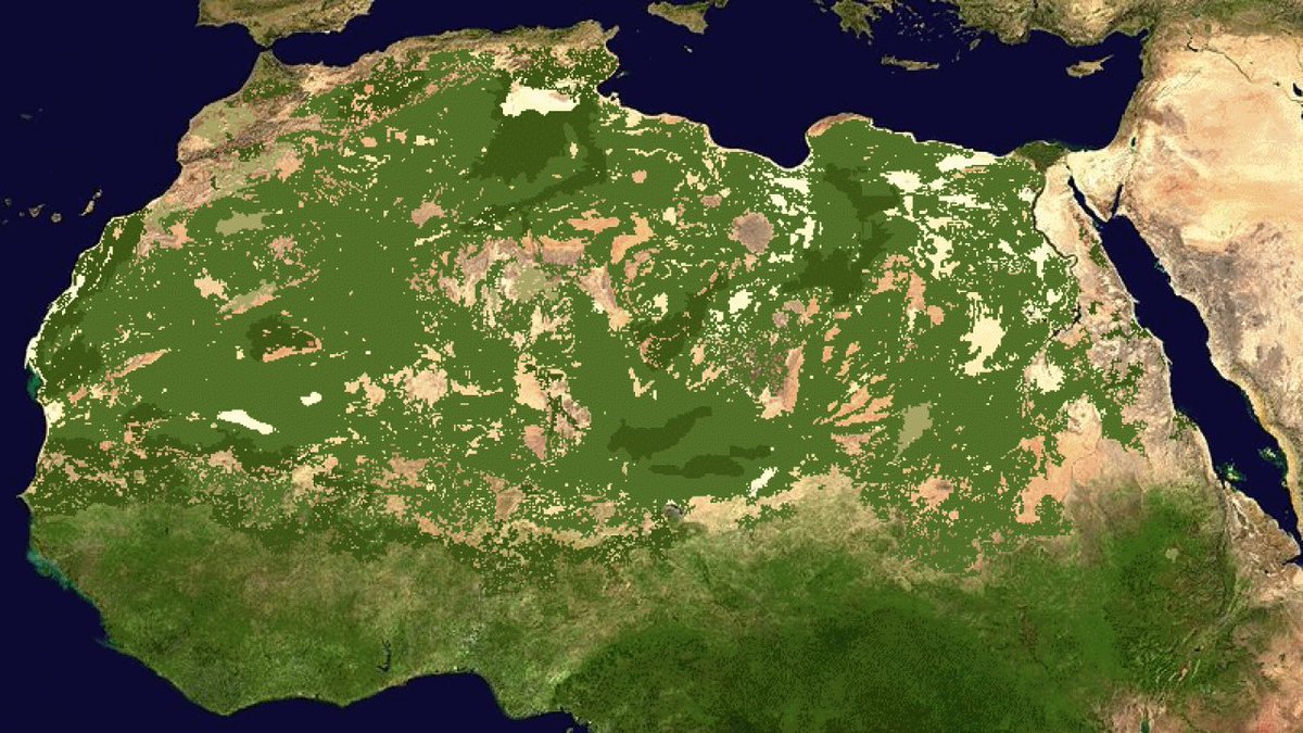 Pero esta región no fue siempre así. El Sahara llegó a ser un vergel, completamente verde y lleno de flora y fauna. Esta transformación ocurrió en algún momento después de que terminara la última edad de hielo