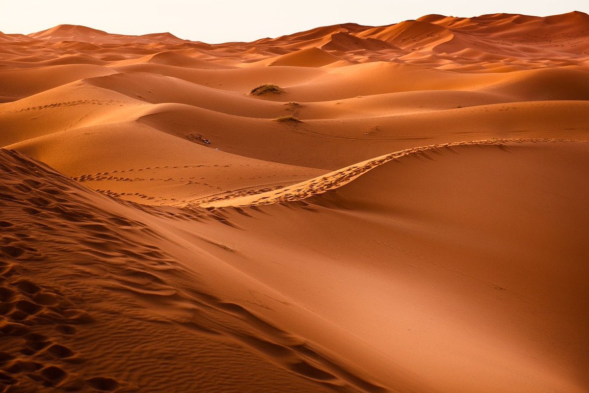 Cuando pensamos en él nos viene a la cabeza enormes extensiones de arena y dunas sin vegetación. Y es normal ya que por definición un desierto es aquel lugar en el que las precipitaciones son muy escasas o apenas se producen.