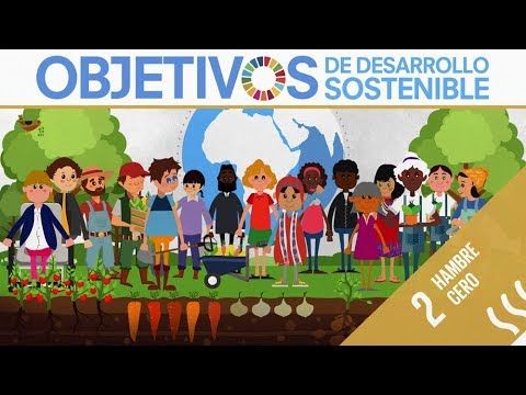 Cada 16/10 se celebra el #DiaMundialAlimentacion por iniciativa de la <a href="/FAOEspana/">FAO en España</a>. En la #Agenda2030 se persigue el objetivo de #HambreCero. ¿En qué líneas se está trabajando para conseguirlo? youtu.be/W_NUWV7qgk0 
#CapitalismoConsciente #ConsciousCapitalism #ODS #SDG