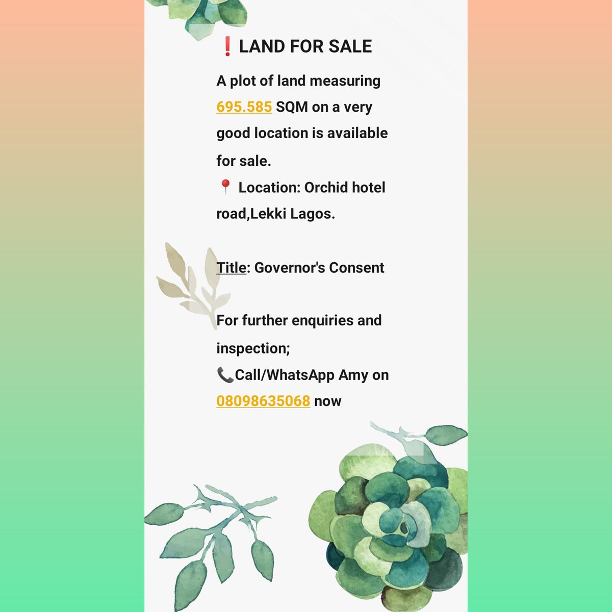 AmyCIoflagos's tweet photo. #land https://t.co/Vnuxukedi5