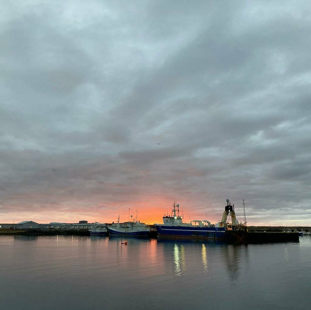 Bergþór Gunnlaugsson tweet media