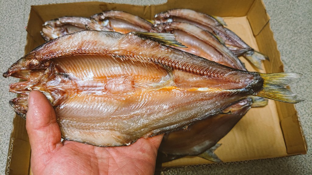 Etiqueta 鮎の干物 En Twitter Etiqueta 鮎の干物 En Twitter