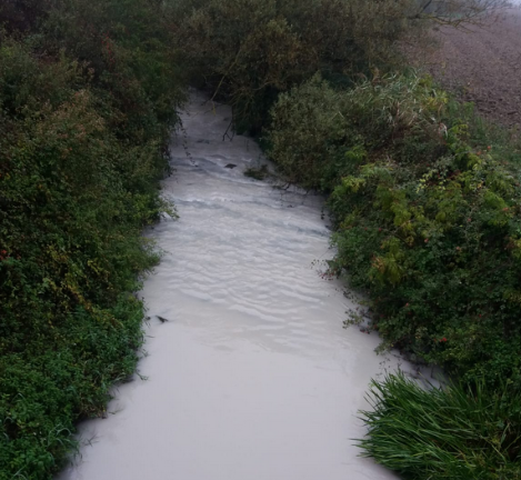 Ríos de leche (y miel?) en el oasis vasco. 

El Zadorra alrededor de Agurain. Ahora. 

¿Hasta cuándo?