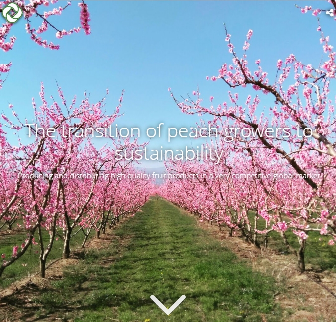 ProjectUniseco's tweet image. Achieving global transition to sustainable food systems is essential. Several of @EU_H2020 #ProjectUniseco case studies discuss sustainability. Storymap of 🇬🇷 peach farmers try eliminating the use of chemical pesticides:
➡️bit.ly/3lMHPMo
 #EUFarm2Fork #WorldFoodDay2020