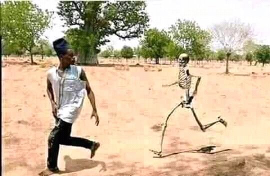 REALKINGBUU3's tweet photo. @AdvoBarryRoux otswengwa ke di poko dis1 his 
ancestor di mo furaletje
ohloka o pegwa tire a cheswe🔥 🚮😬 https://t.co/Z3TBu8YLuS