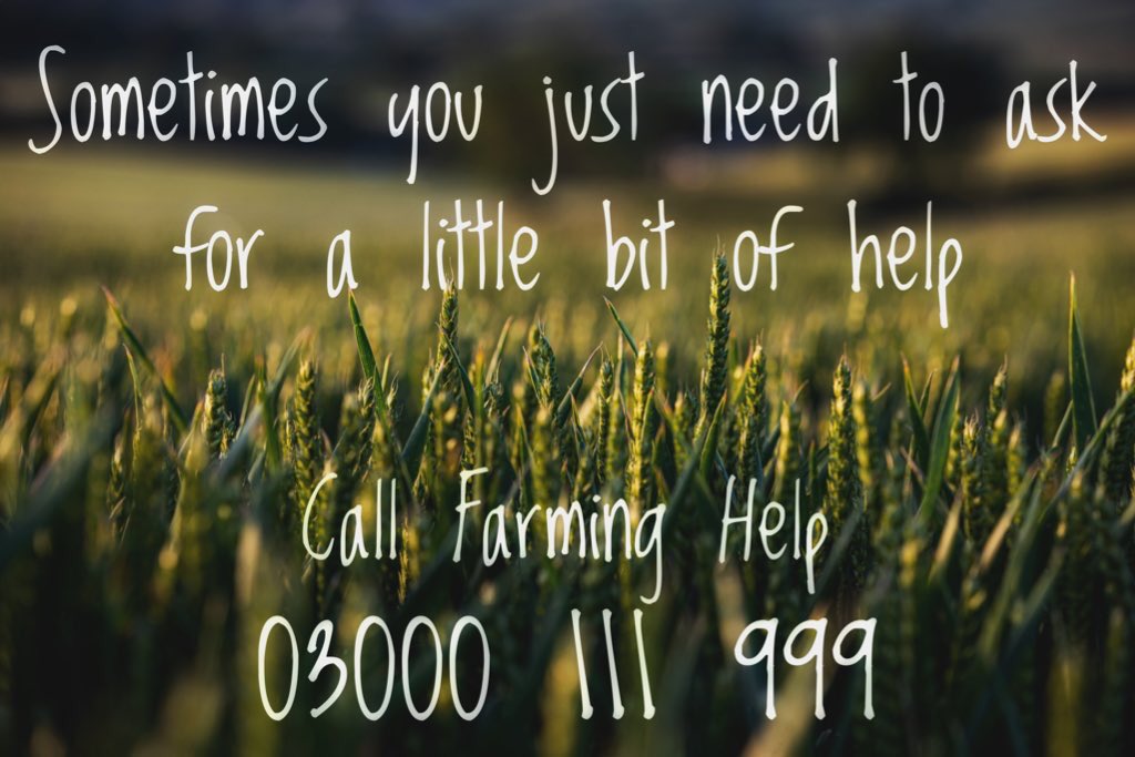 DevonFBA's tweet image. “A problem shared is a problem halved...”

If you feel you’re feeling a little lost &amp;amp; you’re not sure what to do, call Farming Help. There will be someone there that you can talk to &amp;amp; who can help. 

You are not alone ...

#MentalHealthMatters 
#AgMentalHealthWeek 
#farminghelp