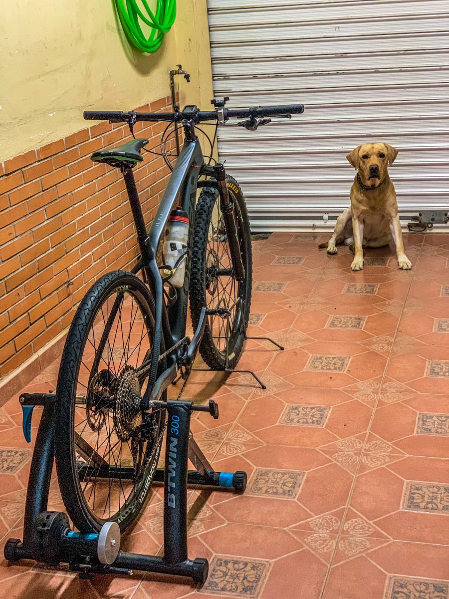 FUTHINi9's tweet photo. Estoy hasta el toto del aislamiento domiciliario, ¿vale?
#RodilloTime https://t.co/YhaYi5aH9o