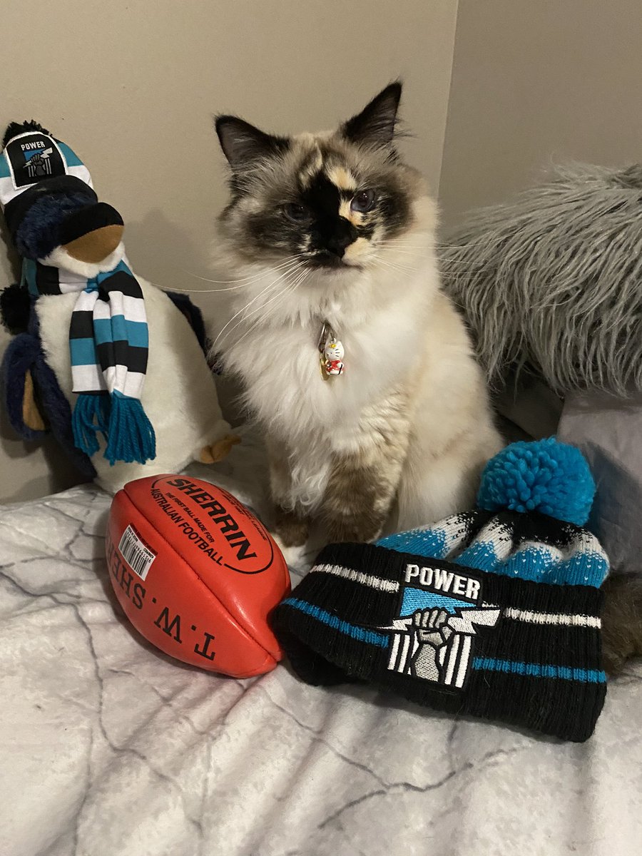 shellyspencer17's tweet photo. Go port!!! #portadelaide #powervsrichmond #power #portpower https://t.co/ubNOdVjYJt