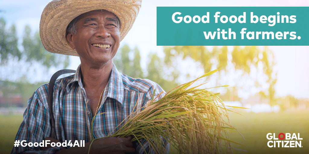 GlblCtznAfrica's tweet photo. Help spread the word 📣: A world without hunger and malnutrition is possible if we all step up and fight together! Take action now and let’s ensure no one goes to bed hungry. https://t.co/Ql2izltgla #GoodFood4All #WorldFoodDay https://t.co/a09iDCYRf0