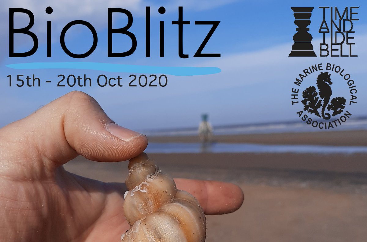 thembauk's tweet photo. It's almost the weekend, and what better than a weekend trip to the coast, in the name of science! โ๏ธ
The #TidebellBioBlitz is underway at Morecambe, Mablethorpe and Appledore, and we need your observations! More info at https://t.co/tn3hucKw07
#MBABioBlitz @inaturalist https://t.co/LZ8WCBP4SY