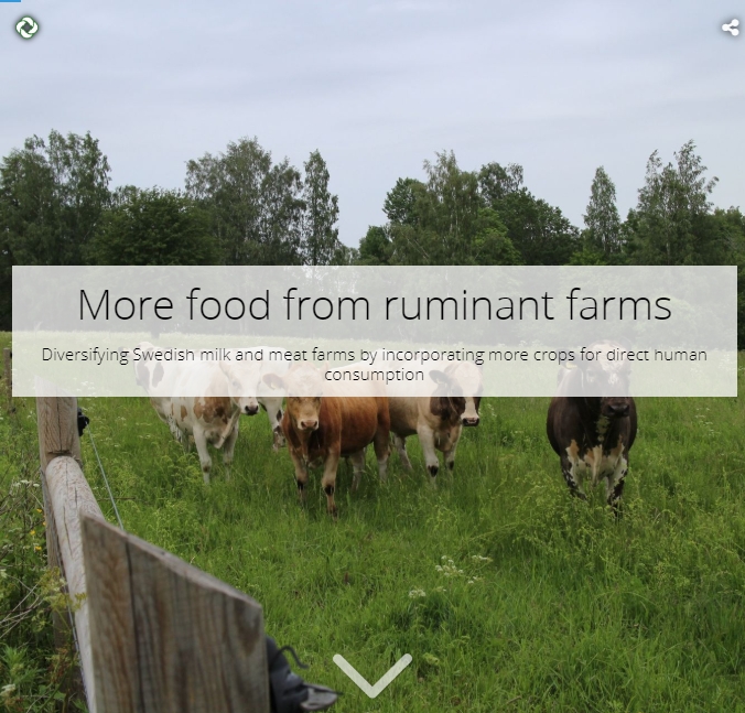 ProjectUniseco's tweet image. At #EUFarm2Fork Session #4 New knowledge &amp;amp; innovation solutions @EUAgri &amp;amp; @EIPAGRI_SP mentions farm diversification @EU_H2020 #ProjectUniseco 🇸🇪 case study focuses on diversifying milk &amp;amp; meat farms by more crops for direct human consumption➡️ bit.ly/3lWwzNP
#EUGreenDeal