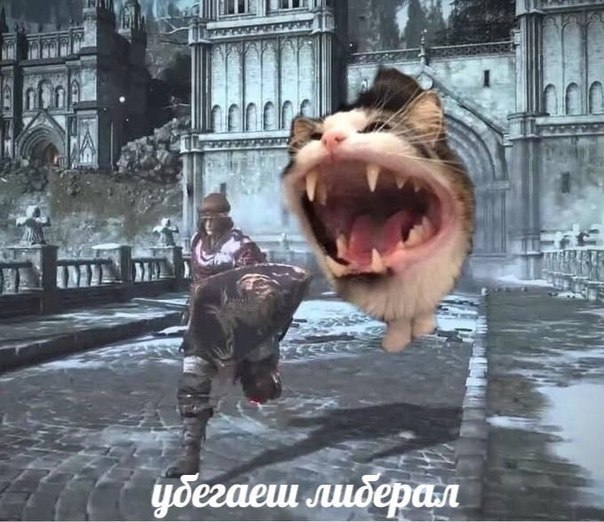 EkcPv_VX0AAdy94?format=png&name=small