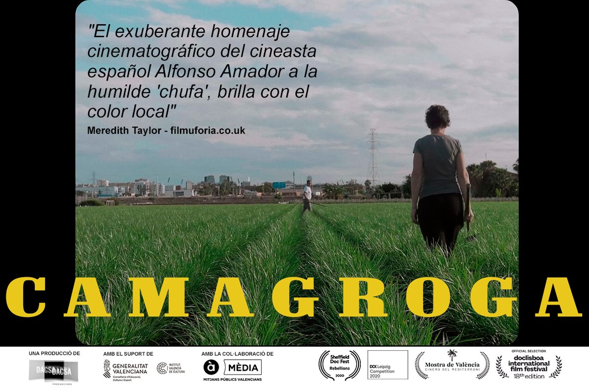 🎬 CAMAGROGA - World Premiere en <a href="/sheffdocfest/">Sheffield DocFest</a> 
Domingo, 18 Octubre.
📍La crítica ha dicho:
"Spanish filmmaker Alfonso Amador’s lush cinematic tribute to the humble ‘chufa’ glows with local colour" - Meredith Taylor, <a href="/filmuforia/">Meredith Taylor</a> 
filmuforia.co.uk/camargroga-202…